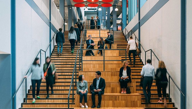 Academics Sitting on a University Staircase - Mace group