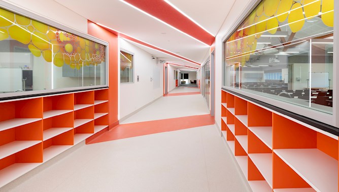 University Colorful Corridor - Mace 