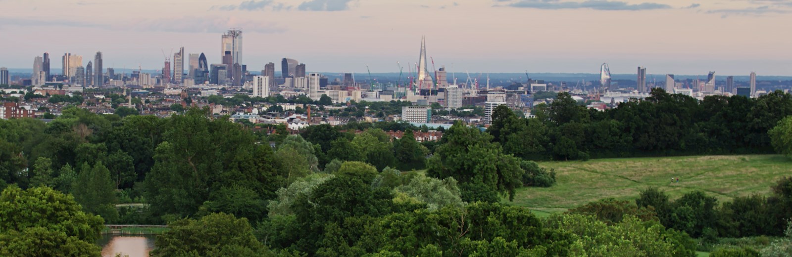 London skyline from a green park