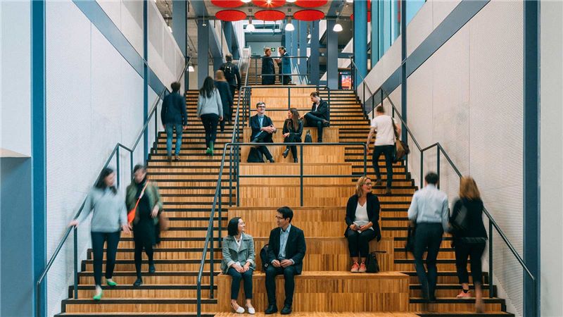 Academics Sitting on a University Staircase - Mace group
