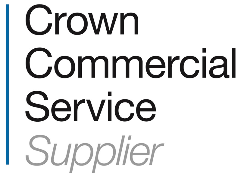 Crown Commercial Service Supplier - Mace Group